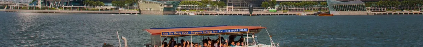 Combo Singapore Flyer  Duck Tour